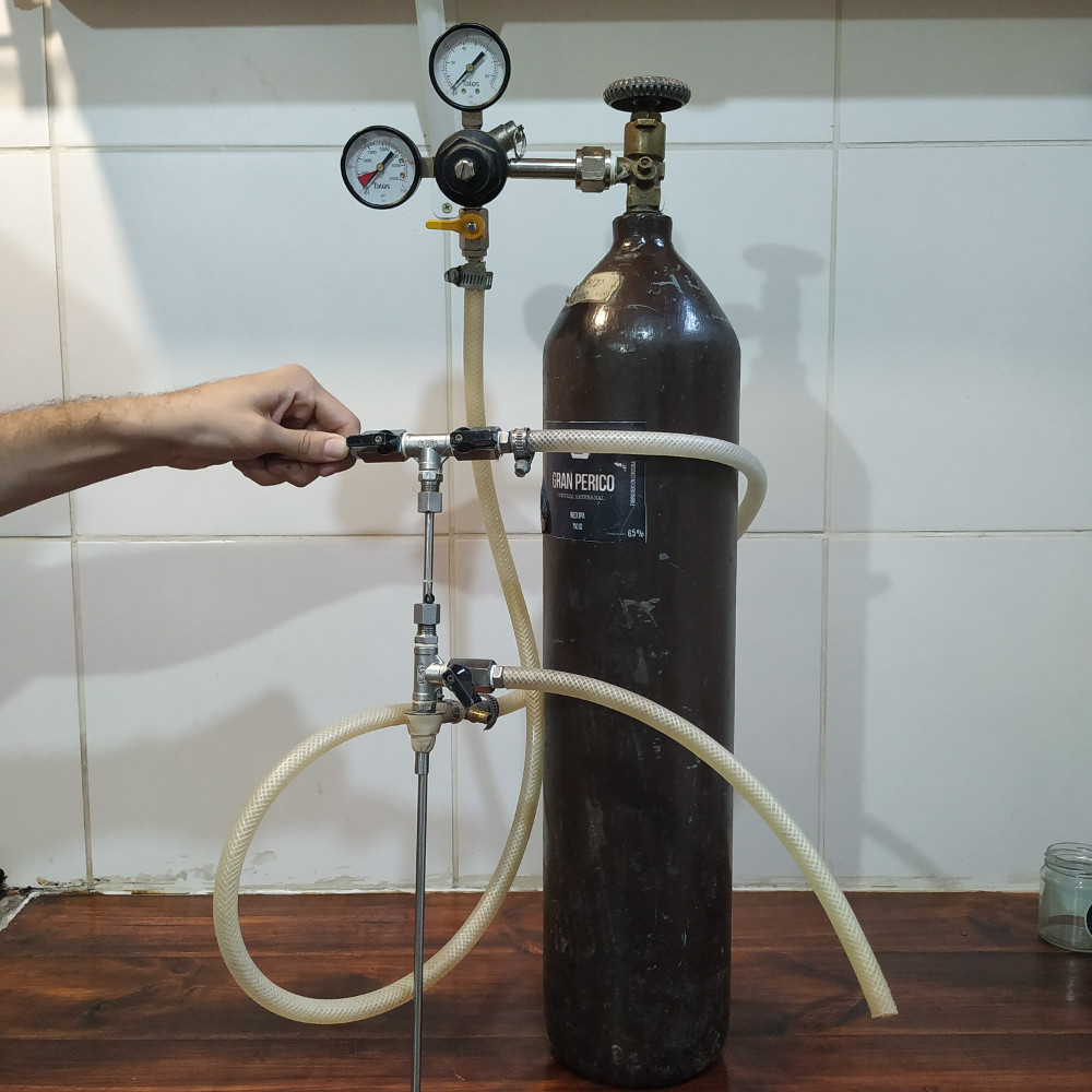 Cerveza con frutos autóctonos
